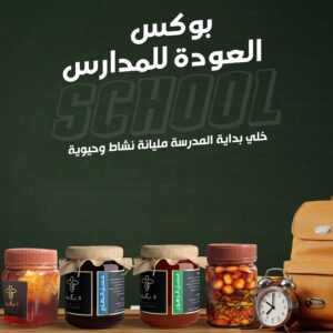 بوكس العودة للمدارس